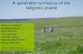 A generalist tymovirus of the tallgrass prairie Michael Palmer 1 Andrew Doust 1 Rick Nelson 2 Min Byoung 2 Vaskar Thapa 1 Marilyn Roossinck 2 Ulrich Melcher.