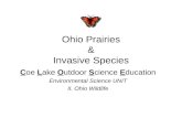 Ohio Prairies & Invasive Species Coe Lake Outdoor Science Education Environmental Science UNIT II. Ohio Wildlife.