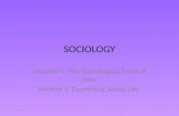 SOCIOLOGY Chapter 1: The Sociological Point of View Section 1: Examining Social Life.