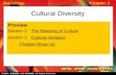 SociologyChapter 2 Cultural Diversity Preview Section 1: The Meaning of CultureThe Meaning of Culture Section 2: Cultural VariationCultural Variation Chapter.