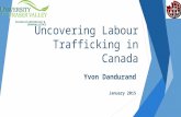 Uncovering Labour Trafficking in Canada Yvon Dandurand January 2015.