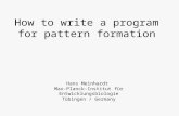 How to write a program for pattern formation Hans Meinhardt Max-Planck-Institut für Entwicklungsbiologie Tübingen / Germany.