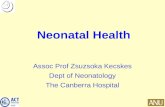 Neonatal Health Assoc Prof Zsuzsoka Kecskes Dept of Neonatology The Canberra Hospital.