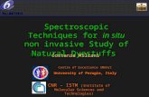 Eu-ARTECH Spectroscopic Techniques for in situ non invasive Study of Natural Dyestuffs Costanza Miliani Centre of Excellence SMAArt University of Perugia,
