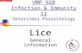 Lice General information VMP 920 Infection & Immunity II Veterinary Parasitology.