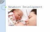 Newborn Development. P.I.E.S. Your new best friend! Physical Development Intellectual Development Emotional Development Social Development P I E S.