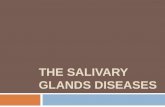 THE SALIVARY GLANDS DISEASES. Clinical Anatomy of the Salivary Glands
