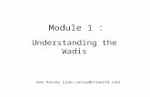 Module 1 : Understanding the Wadis John Ratsey [john.ratsey@ntlworld.com]