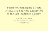 Possible Geomorphic Effects Of Invasive Spartina alterniflora in the San Francisco Estuary Joshua N. Collins, Ph.D San Francisco Estuary Institute Josh@sfei.org.