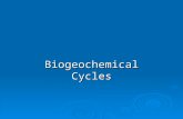 Biogeochemical Cycles. Objectives:  Identify and describe the flow of nutrients in each biogeochemical cycle.  Explain the impact that humans have on.
