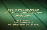Use of Biodegradable Mulch for Vegetable Crop Production M. D. Orzolek Dept. of Horticulture The Pennsylvania State University M. D. Orzolek Dept. of Horticulture.