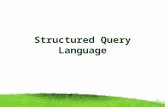 Structured Query Language. SQL stands for “Structured Query Language”. Used for accessing and modifying information in the database. Some of the SQL commands.