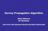 Survey Propagation Algorithm Elitza Maneva UC Berkeley Joint work with Elchanan Mossel and Martin Wainwright.
