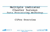 Multiple Indicator Cluster Surveys Data Processing Workshop CSPro Overview MICS Data Processing Workshop.
