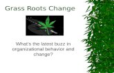 Grass Roots Change What’s the latest buzz in organizational behavior and change?