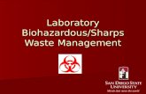 Laboratory Biohazardous/Sharps Waste Management. Types of Biohazardous Waste Dry Solid- No pourable liquids! Dry Solid- No pourable liquids! –Contaminated.