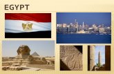 79 million people with 90% of population in urban areas such as Cairo, Alexandria and the Delta Nile  Main language is Egyptian Arabic  90% Population.