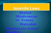 Status Misdemeanor Felony Waivable Magistrate Court (Traffic)