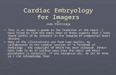Cardiac Embryology for Imagers by John Partridge ► This is an imager’s guide to the formation of the heart. I have tried to slim the topic down to those.