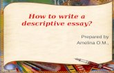 How to write a descriptive essay? Prepared by Amelina O.M.,