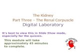 The Kidney Part Three – The Renal Corpuscle Digital Laboratory It’s best to view this in Slide Show mode, especially for the quizzes. This module will.
