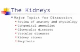 The Kidneys Major Topics for Discussion Review of anatomy and physiology Congenital anomalies Glomerular diseases Vascular diseases Kidney stones Neoplasia.