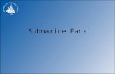 Submarine Fans. Styles of submarine fan Schematic submarine fan.