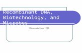 Recombinant DNA, Biotechnology, and Microbes Microbiology 221.
