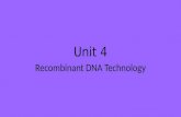 Unit 4 Recombinant DNA Technology. Lesson 1 – Recombinant DNA Isolating and Ligating DNA Lecture – Isolating and Ligating DNA Activity – Clone a paper.