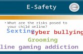 E-Safety What are the risks posed to your child online?