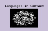 Languages in Contact. Results of Bilingualism & Multilingualism.