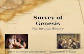 Survey of Genesis Patriarchal History God’s Covenant with Abraham – Descendents in Egypt.