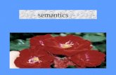 Semantics. Semantics is generally considered to be the study of meaning in language. What is Semantics ?