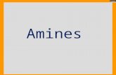 Amines.  Amines are formed by replacing one or more hydrogen atoms of ammonia (NH 3 ) with alkyl groups.  In nature, they occur among proteins, vitamins,
