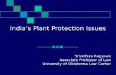 India’s Plant Protection Issues Srividhya Ragavan Associate Professor of Law University of Oklahoma Law Center.