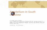 Antebellum in South Carolina 3 rd Grade Social Studies 3-4.1 Compare the conditions of daily life for various classes of people in South Carolina, including.