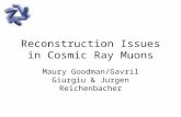 Reconstruction Issues in Cosmic Ray Muons Maury Goodman/Gavril Giurgiu & Jurgen Reichenbacher.