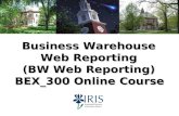 Business Warehouse Web Reporting (BW Web Reporting) BEX_300 Online Course BEX_300 Online Course.