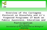 Overview of the Cartagena Protocol on Biosafety and it's Proposed Programme of Work on Public Awareness, Education and Participation Erie Tamale Secretariat.