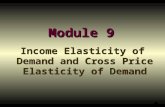 Module 9 Income Elasticity of Demand and Cross Price Elasticity of Demand 1.