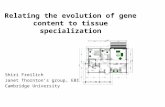 Shiri Freilich Janet Thornton’s group, EBI Cambridge University Relating the evolution of gene content to tissue specialization.
