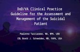 DoD/VA Clinical Practice Guideline for the Assessment and Management of the Suicidal Patient Paulette Tucciarone, MD, MPH, USN COL Brett J. Schneider,