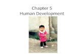 Chapter 5 Human Development. Human Development Index (UNDP) Mahbub ul Haq: Founder HD Report Geometric mean of 3 indices (Sen): – Life expectancy – Education.