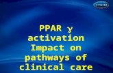 PPAR  activation Impact on pathways of clinical care.