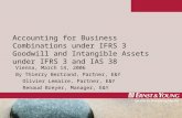 1 Accounting for Business Combinations under IFRS 3 Goodwill and Intangible Assets under IFRS 3 and IAS 38 Vienna, March 14, 2006 By Thierry Bertrand,