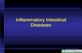 Inflammatory Intestinal Diseases. Ulcerative Colitis Unknown etiology Mucosal inflammation and ulceration in the large intestine Always involves the rectum.