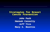 Strategies for Breast Cancer Prevention John Park Hannah Connolly Jeff Tice Mary S. Beattie.