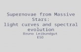 Supernovae from Massive Stars: light curves and spectral evolution Bruno Leibundgut ESO.