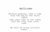 Welcome Without peeking, take a cube from the bag on the front table. Take your cube to the table that has that same color cube. We will be using scissors.