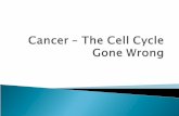 Cancer - information and treatment Cancer - information and treatment.